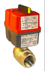 Electric Actuators